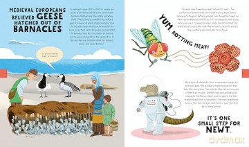 The Big Book of Useless Science Knowledge: 250 of the Coolest, Weirdest, and Most Unbelievable Science Facts You Won't be Taught in School (Useless Knowledge) - Neon Squid [KSIĄŻKA]