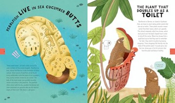 The Big Book of Useless Science Knowledge: 250 of the Coolest, Weirdest, and Most Unbelievable Science Facts You Won't be Taught in School (Useless Knowledge) - Neon Squid [KSIĄŻKA]