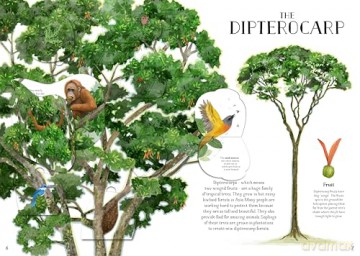 The Tree of Life: A lift-the-flap book about the amazing animals that live in trees around the world - Nalini Nadkarni [KSIĄŻKA]