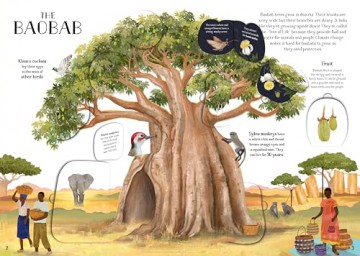 The Tree of Life: A lift-the-flap book about the amazing animals that live in trees around the world - Nalini Nadkarni [KSIĄŻKA]