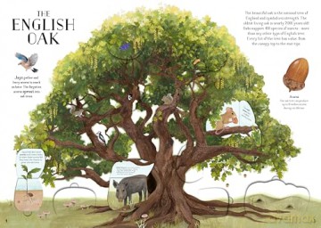 The Tree of Life: A lift-the-flap book about the amazing animals that live in trees around the world - Nalini Nadkarni [KSIĄŻKA]