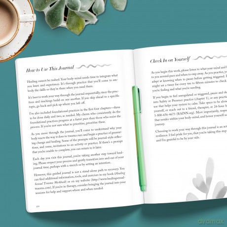 Healing Sexual Trauma Guided Journal: Writing and Somatic Practices to Help You Process, Heal, and Feel Safe (The New Harbinger Journals for Change) - Erika Shershun [KSIĄŻKA]