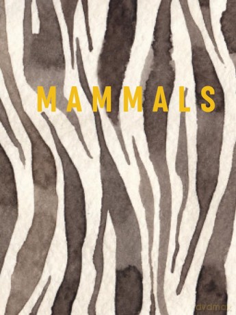 Luxe Nature - Mammals: Luxe series - Reed New Holland [KSIĄŻKA]