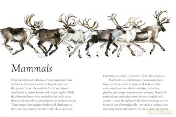 Luxe Nature - Mammals: Luxe series - Reed New Holland [KSIĄŻKA]