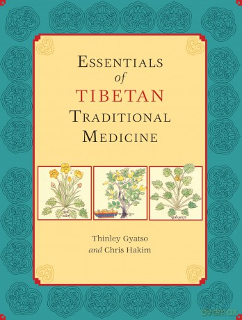 Essentials of Tibetan Traditional Medicine - Thinley Gyatso [KSIĄŻKA]