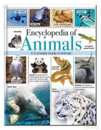 Encyclopedia of Animals: A Complete Pictorial Guide to Animals (Children's Encyclopedias) - NORTH PARADE [KSIĄŻKA]