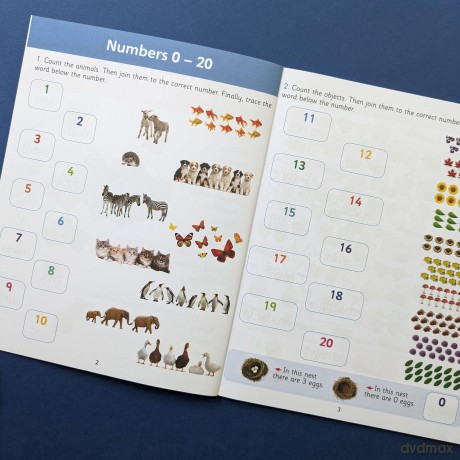 Wonders of Learing Work Book - Year 1 - Numbers (Wonders of Learning Educational Workbook - Year 1) - Martin Ellick [KSIĄŻKA]