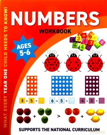 Wonders of Learing Work Book - Year 1 - Numbers (Wonders of Learning Educational Workbook - Year 1) - Martin Ellick [KSIĄŻKA]