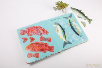 National Trust: Beneath the Waves: Press out and learn about 20 fabulous fish - Lauren Fairgrieve [KSIĄŻKA]