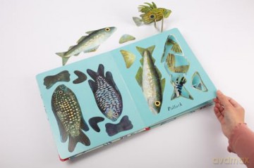 National Trust: Beneath the Waves: Press out and learn about 20 fabulous fish - Lauren Fairgrieve [KSIĄŻKA]
