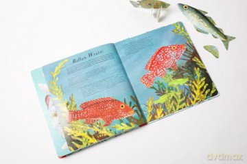 National Trust: Beneath the Waves: Press out and learn about 20 fabulous fish - Lauren Fairgrieve [KSIĄŻKA]