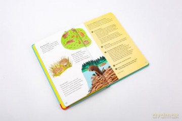 National Trust: Out and About: Animal Spotter: A Children's Guide to 50 Different Wild Animals - Emma S. Young [KSIĄŻKA]