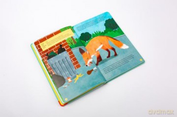 National Trust: Out and About: Animal Spotter: A Children's Guide to 50 Different Wild Animals - Emma S. Young [KSIĄŻKA]