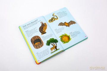 National Trust: Out and About: Animal Spotter: A Children's Guide to 50 Different Wild Animals - Emma S. Young [KSIĄŻKA]