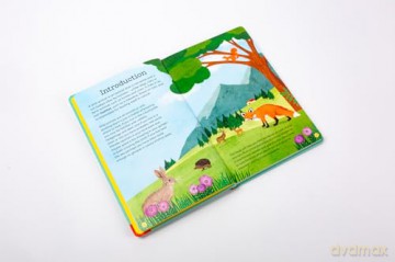 National Trust: Out and About: Animal Spotter: A Children's Guide to 50 Different Wild Animals - Emma S. Young [KSIĄŻKA]