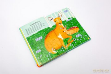 National Trust: Out and About: Animal Spotter: A Children's Guide to 50 Different Wild Animals - Emma S. Young [KSIĄŻKA]