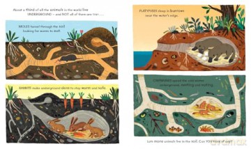 National Trust: Wonder World: Earth: The Natural Science of Soil - Ben Lerwill [KSIĄŻKA]