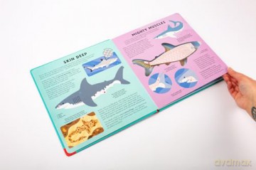 The Shark Book: Discover the amazing world of sharks with incredible SEE-THROUGH pages! (Hannah Alice series) - Hannah Alice [KSIĄŻKA]