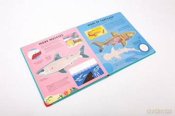 The Shark Book: Discover the amazing world of sharks with incredible SEE-THROUGH pages! (Hannah Alice series) - Hannah Alice [KSIĄŻKA]