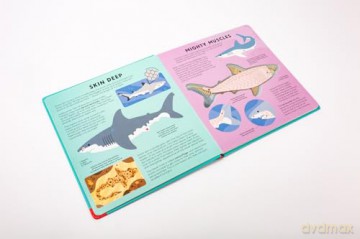 The Shark Book: Discover the amazing world of sharks with incredible SEE-THROUGH pages! (Hannah Alice series) - Hannah Alice [KSIĄŻKA]