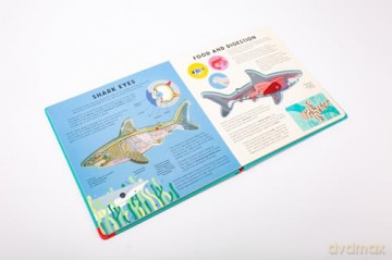The Shark Book: Discover the amazing world of sharks with incredible SEE-THROUGH pages! (Hannah Alice series) - Hannah Alice [KSIĄŻKA]