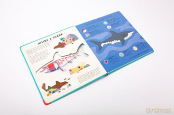 The Shark Book: Discover the amazing world of sharks with incredible SEE-THROUGH pages! (Hannah Alice series) - Hannah Alice [KSIĄŻKA]