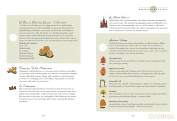 Barcelona, Block by Block: An Illustrated Guide to the Heart of Catalonia - Cierra Block [KSIĄŻKA]