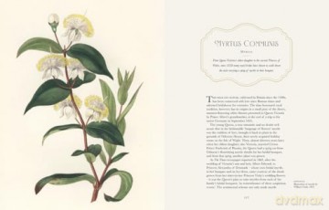 Historic Royal Palaces: Royal Blooms: The Crown and Plants: A Very Noble History - Felicity Day [KSIĄŻKA]