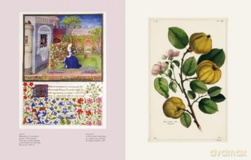 Historic Royal Palaces: Royal Blooms: The Crown and Plants: A Very Noble History - Felicity Day [KSIĄŻKA]