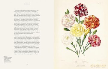 Historic Royal Palaces: Royal Blooms: The Crown and Plants: A Very Noble History - Felicity Day [KSIĄŻKA]