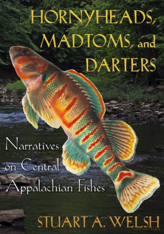 Hornyheads, Madtoms, and Darters: Narratives on Central Appalachian Fishes - Stuart A. Welsh [KSIĄŻKA]