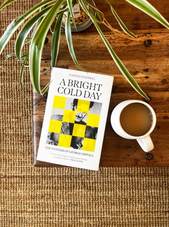 A Bright Cold Day: The Wonder of George Orwell - Nathan Waddell [KSIĄŻKA]