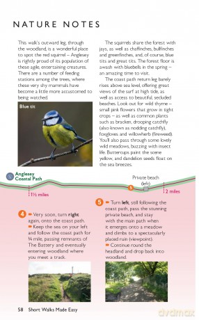 Anglesey (Ynys Môn) Short Walks Made Easy | Ordnance Survey | 10 Accessible Walks For Everybody | Guidebook | Wales | Walks | Adventure: 10 Leisurely Walks (OS Short Walks Made Easy) - Ordnance Survey [KSIĄŻKA]