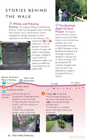 North York Moors Short Walks Made Easy | Ordnance Survey | 10 Accessible Walks For Everybody | Guidebook | National Park | England | Walks | Adventure: 10 Leisurely Walks (OS Short Walks Made Easy) - Ordnance Survey [KSIĄŻKA]