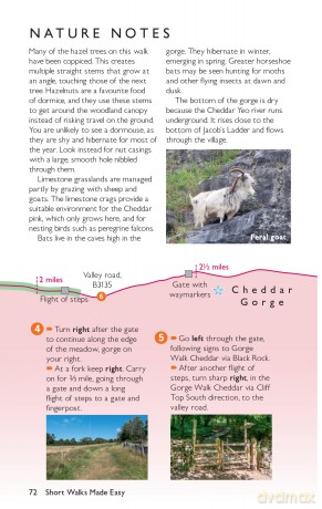 Quantocks, Mendips and Somerset Levels Short Walks Made Easy | Ordnance Survey | 10 Accessible Walks For Everyone | Guidebook | England | Walks | Adventure | Leisurely Walks (OS Short Walks Made Easy) - Ordnance Survey [KSIĄŻKA]