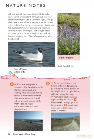South Downs Short Walks Made Easy | Ordnance Survey | 10 Accessible Walks For Everybody | Guidebook | National Park | England | Walks | Adventure: 10 Leisurely Walks (OS Short Walks Made Easy) - Ordnance Survey [KSIĄŻKA]