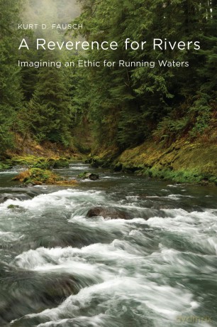 A Reverence for Rivers: Imagining an Ethic for Running Waters - Kurt D. Fausch [KSIĄŻKA]