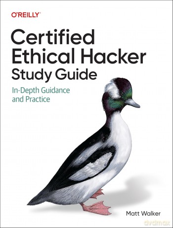 Certified Ethical Hacker (Ceh) Study Guide: In-Depth Guidance and Practice - Matt Walker [KSIĄŻKA]