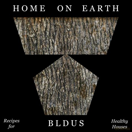 Home on Earth: Recipes for Healthy Houses - Andrew Linn [KSIĄŻKA]