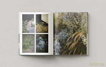 Liminal House: McLeod Bovell Masterpiece Series (100x100 Building Monograph 021) - Aaron Betsky [KSIĄŻKA]