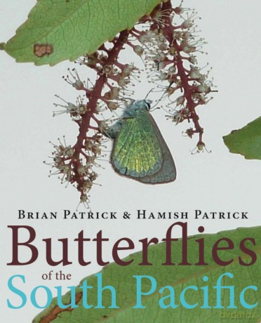 Butterflies of the South Pacific - Brian Patrick [KSIĄŻKA]