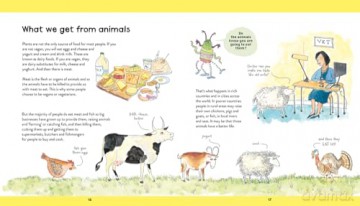 Food for All - What We Eat and Where it Comes From - Mary Hoffman [KSIĄŻKA]