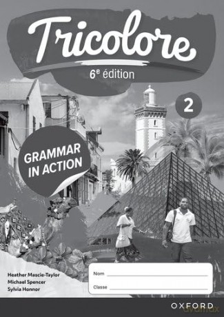 Grammar in Action Workbook 2 (pack of 8) (Tricolore 6e édition) - Mascie Taylor Mascie Taylor [KSIĄŻKA]