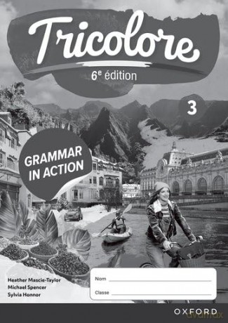 Grammar in Action Workbook 3 (pack of 8) (Tricolore 6e édition) - Mascie Taylor Mascie Taylor [KSIĄŻKA]