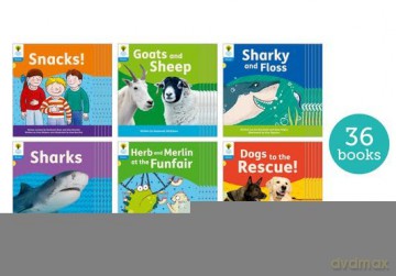 Oxford Reading Tree: Floppy's Phonics Decoding Practice: Oxford Level 3: Class Pack of 36 - Paul Shipton [KSIĄŻKA]