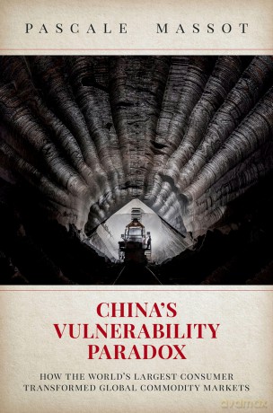 China's Vulnerability Paradox: How the World's Largest Consumer Transformed Global Commodity Markets - Pascale Massot [KSIĄŻKA]