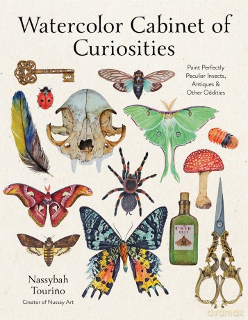 Watercolor Cabinet of Curiosities: Paint Perfectly Peculiar Insects, Antiques and Other Oddities - Nassybah Tourino [KSIĄŻKA]