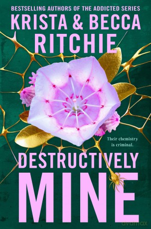 Destructively Mine: A deliciously angsty small town romance from TikTok sensations and authors of the Addicted series: 2 (Webs We Weave, 2) - Krista Ritchie [KSIĄŻKA]