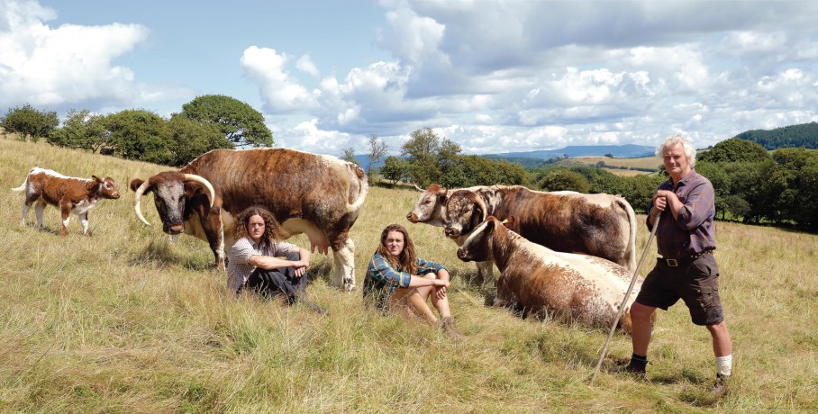 We Feed The UK: Groundbreaking stories, told through radical collaboration between the arts and agroecology - The Gaia Foundation [KSIĄŻKA]