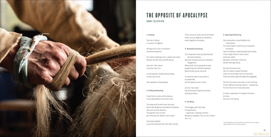 We Feed The UK: Groundbreaking stories, told through radical collaboration between the arts and agroecology - The Gaia Foundation [KSIĄŻKA]